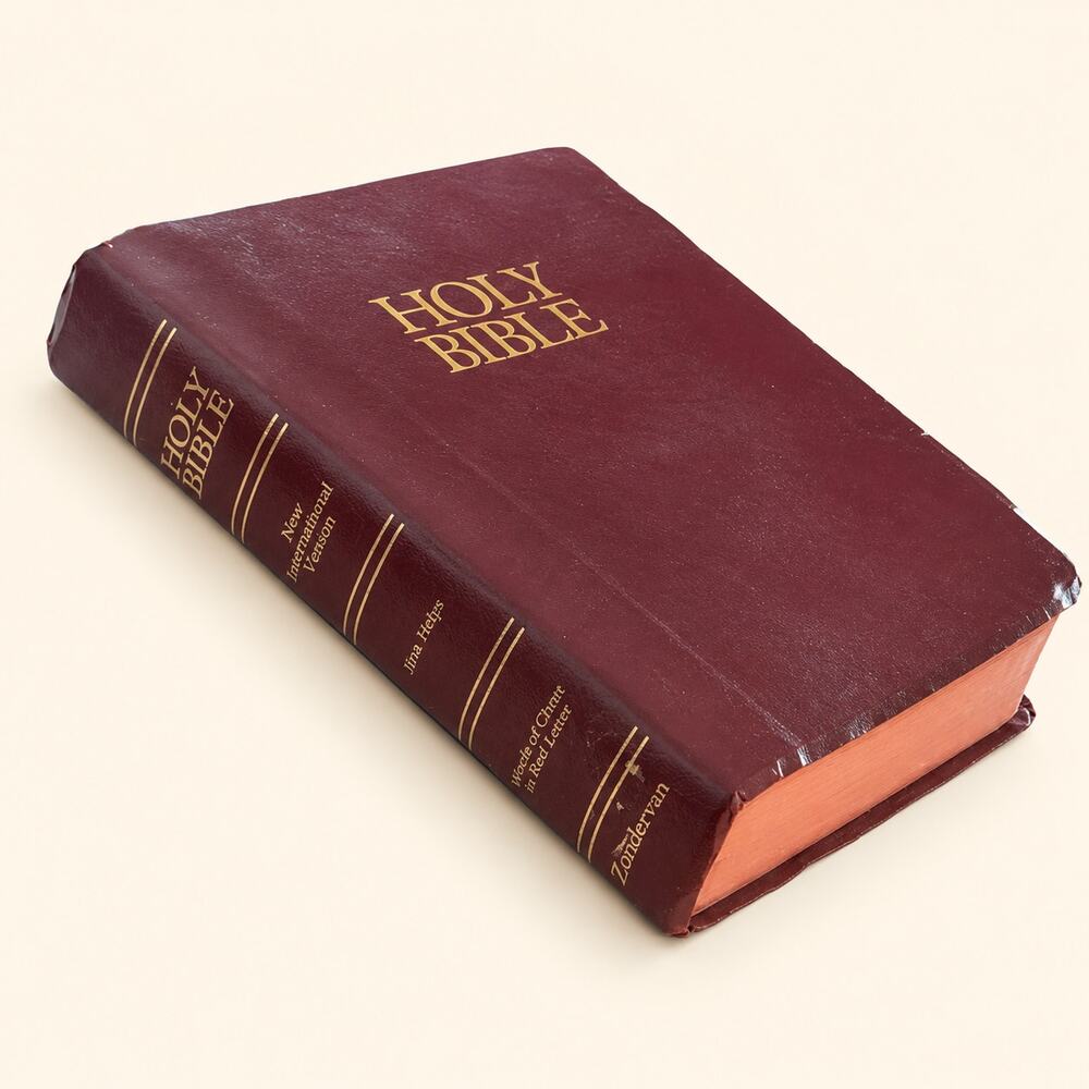 Holy Bible Burgundy New International Version NIV Zondervan Red Letter w/ Helps